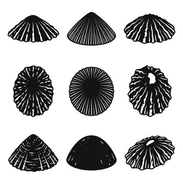 back and white vector silhouette set of Limpet