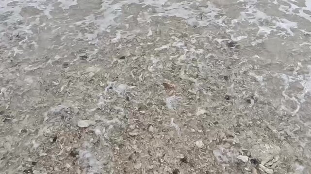 Sea waves washing over coral sand beach top view