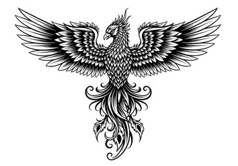 Fototapeta premium Intricate phoenix bird illustration with decorative feather details.