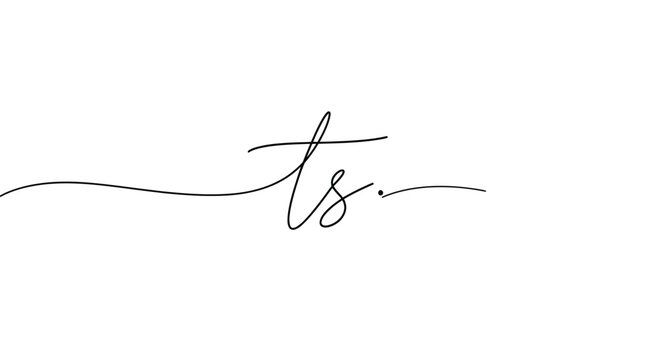 Elegant handwritten cursive letters ts forming a minimalist logo design isolated on a soft textured background