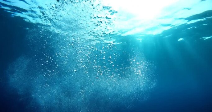 Scuba diver underwater ocean scene.