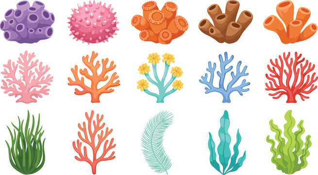 Colorful coral reef vector illustration set with seaweed, marine corals, and underwater ocean plants isolated on white background