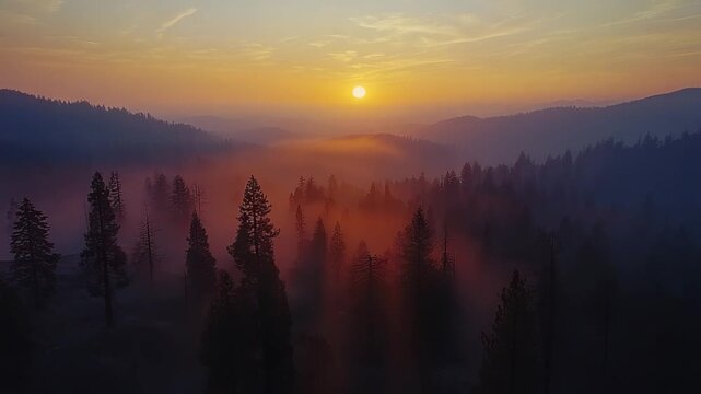 sequoia national park sunrise or sunset aerial view