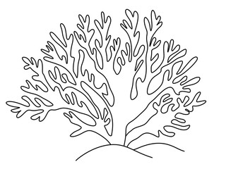digital hand draw for coloring page seaweed © Pink lotus 