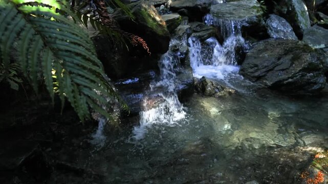 Crystal clear blue water streams, rivers and creeks in the lush green Rainforest of New Zealand Fiordland