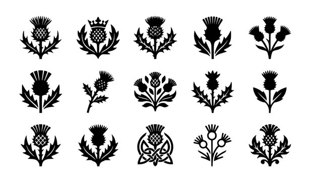 Thistle Black icons set simple vector. Scottish flower. Blossom plant