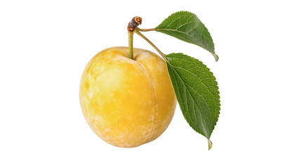 Fresh whole ripe yellow plum fruit with green leaves isolated on transparent background © Arina