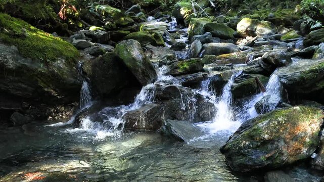 Crystal clear blue water streams, rivers and creeks in the lush green Rainforest of New Zealand Fiordland