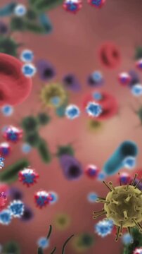 Vertical video: Camera pushing forward, red cells and spiked viruses drifting to show micro flow