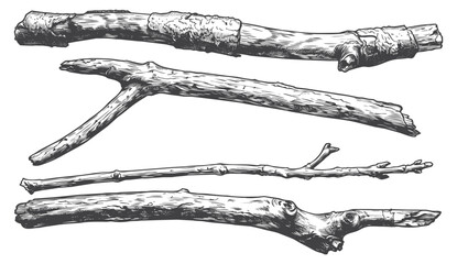 Horizontal Hand Drawn Wood Branches Vector Set, Vintage Engraved Rustic Logs and Twigs for Text Dividers and Nature Frames © Aglonema