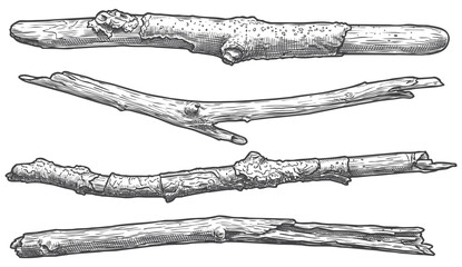 Horizontal Hand Drawn Wood Branches Vector Set, Vintage Engraved Rustic Twigs for Text Dividers and Nature Frames © Aglonema