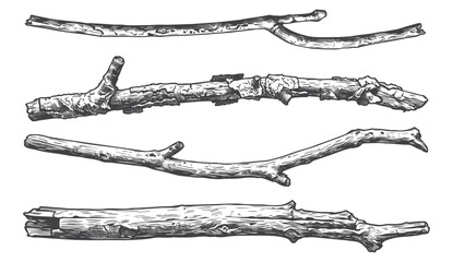 Horizontal Hand Drawn Wood Branches Vector Set, Vintage Engraved Rustic Logs and Twigs for Text Dividers and Nature Frames © Aglonema