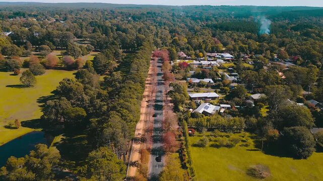 Aerial drone footage capturing Honour Avenue lined with vibrant autumn foliage in Macedon, Victoria, with people, cars, and sunny seasonal scenery in 4K.