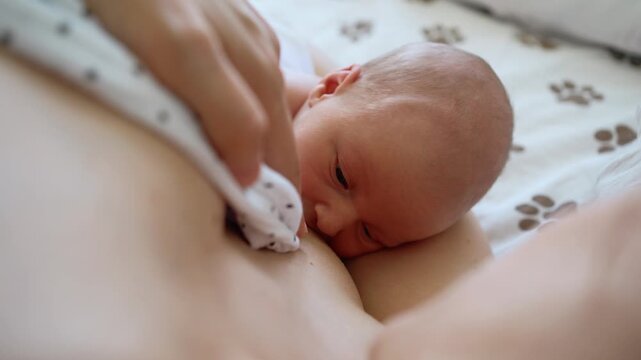 Close up of a newborn infant latched onto the mother's breast, actively nursing and drinking milk. This intimate moment highlights the natural process of breastfeeding and the deep bond