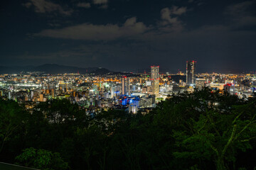 Naklejka premium Beautiful Night View of Hiroshima Cityscape from Scenic Overlook