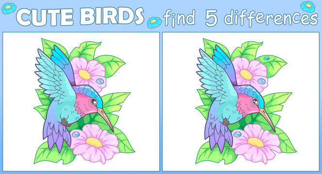 cute bird hummingbird, find five differences illustration