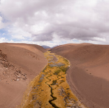 A winding stream brings life to an arid desert valley