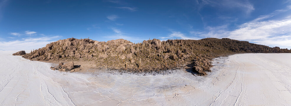 Wide view of cactus island on a vast salt flat