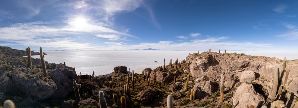 Giant cacti overlooking the vast Uyuni salt flats
