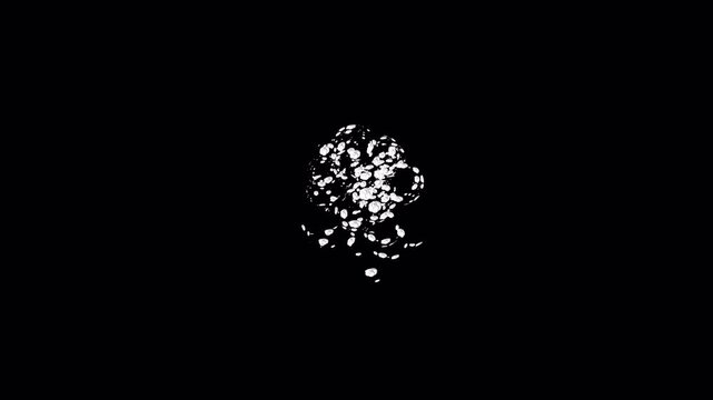 2d smoke vfx transparent backgorund with alpha channel
