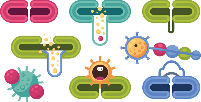 Scientific microbiology flat vector illustration set featuring cell division receptors abstract bacteria 