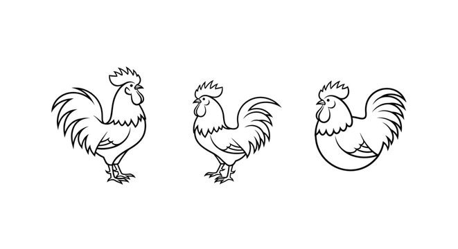 Three decorative rooster illustrations in different poses.