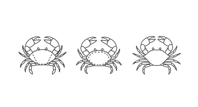 Detailed Illustration of Three Crustacean Crabs Side by Side.