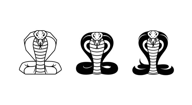 Three Illustrated Cobra Snake Heads With Open Hoods.
