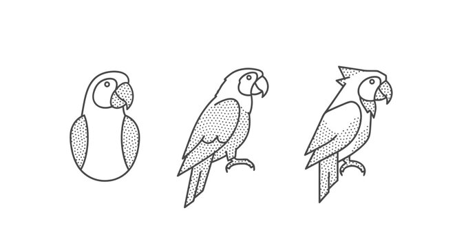 Three unique stylized parrot illustration designs together.