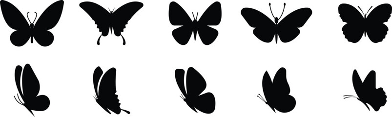 Butterfly icons set, insect collection, black silhouette and outline group, flat style vector illustration, flying moth design, decorative butterfly symbol graphic element. © Asia