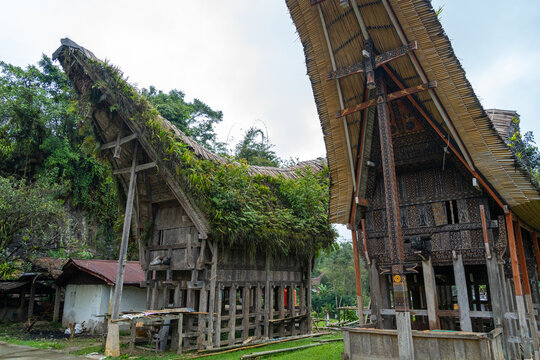 Traditional Toraja houses with buffalo horns, Sulawesi, Indonesia