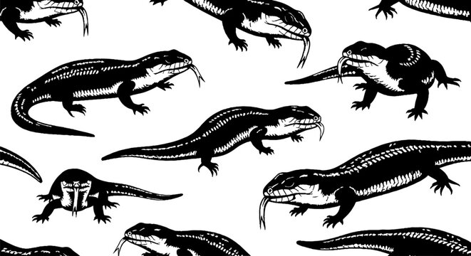 Detailed black and white salamander pattern illustration set.