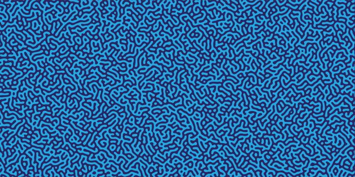 Dynamic Curved Pathway Pattern dynamic background