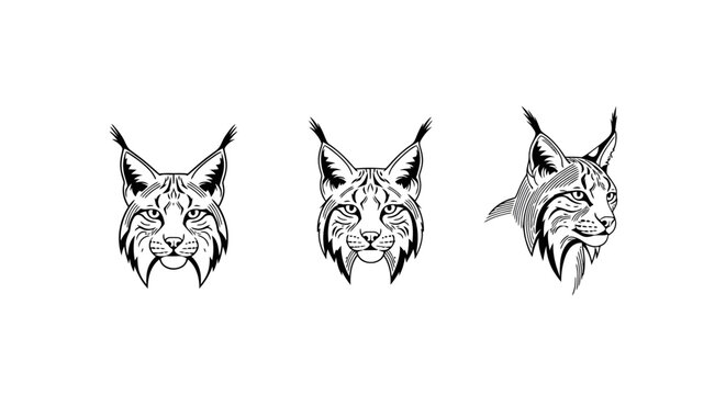 Detailed Lynx Face Illustrations in Monochrome Art Style.