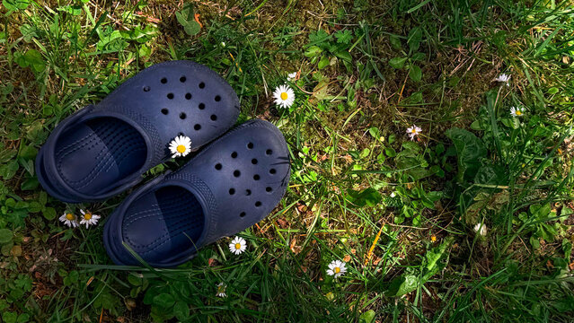 Black rubber clogs placed on green grass with small white daisies scattered around, showcasing a natural outdoor 