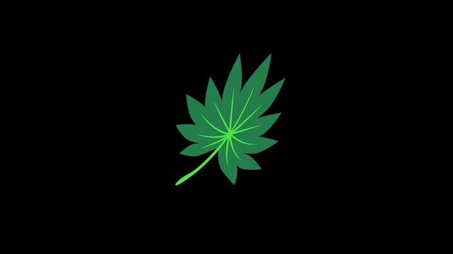 Glowing cannabis leaf isolated