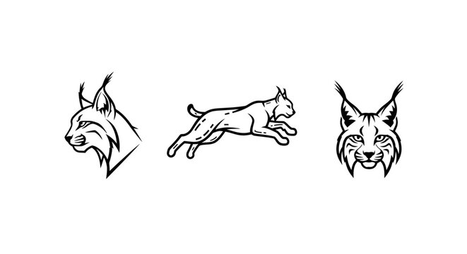 Detailed Lynx Illustrations in Three Unique Poses.
