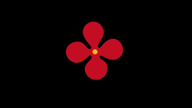 Red flower on black background