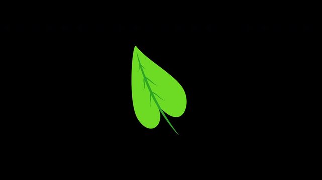 Green leaf on black background