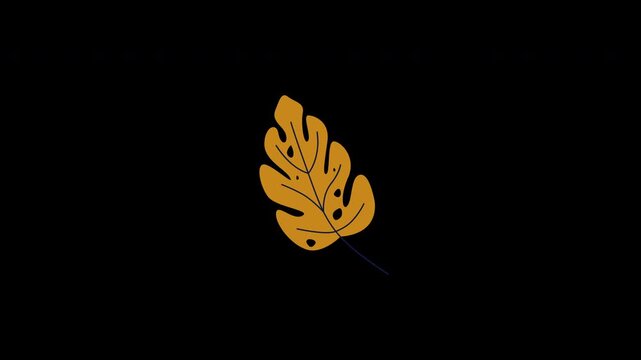 Golden leaf against black background