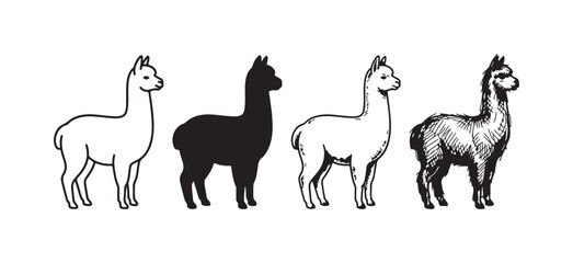 Fototapeta premium Four unique alpaca illustrations presented in different black and white artistic renditions: minimalist outline, bold silhouette, detailed, and textured sketch.