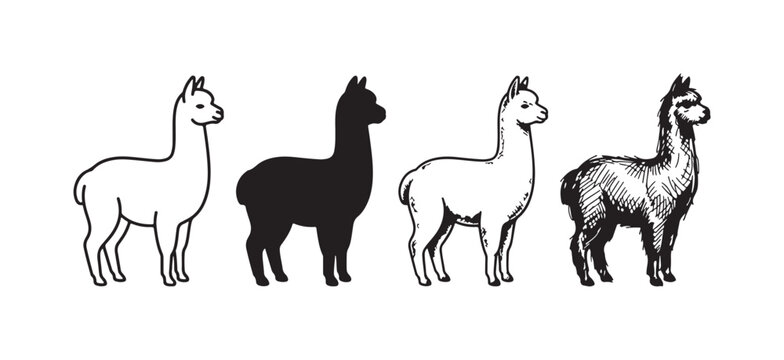 Four unique alpaca illustrations presented in different black and white artistic renditions: minimalist outline, bold silhouette, detailed, and textured sketch.