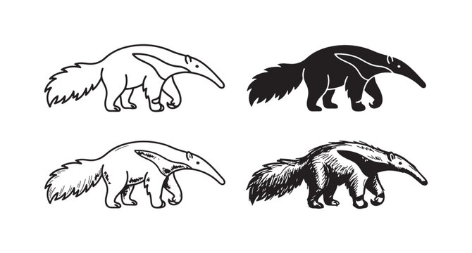 Four anteater illustrations in various black and white artistic styles: simple outline, bold silhouette, refined line art, and expressive hand-drawn sketch.