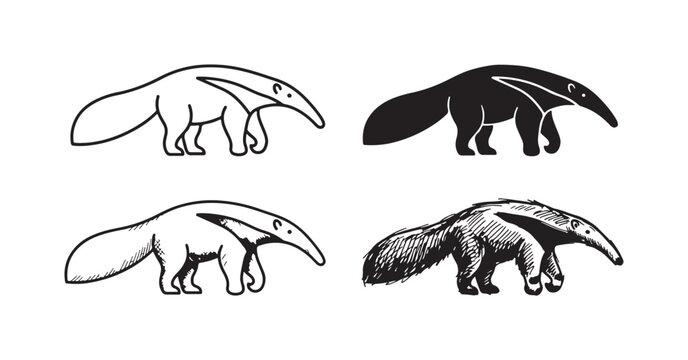 A collection of four black and white anteater images, presented in distinct styles: clean outline, solid fill, detailed drawing, and expressive hand sketch.