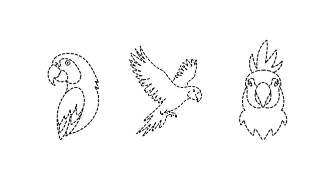 Three unique dotted line art illustrations of parrots.