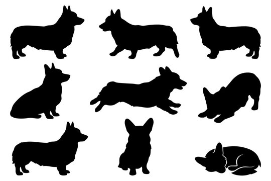 Black silhouettes of welsh corgis in various poses.