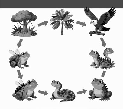 Ecological food chain diagram demonstrating energy flow and vital interdependence among plants, insects, frogs, lizards, and an eagle in their natural habitat