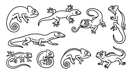 Lizard line art vector collection, minimalist reptile icons set, black and white chameleon and gecko illustrations for coloring or logos © Sidra