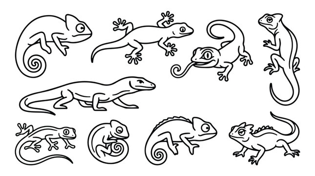 Lizard line art vector collection, minimalist reptile icons set, black and white chameleon and gecko illustrations for coloring or logos
