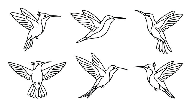 Minimalist hummingbird line art collection, set of 6 flying bird vector icons, black and white outline colibri illustrations for logo design